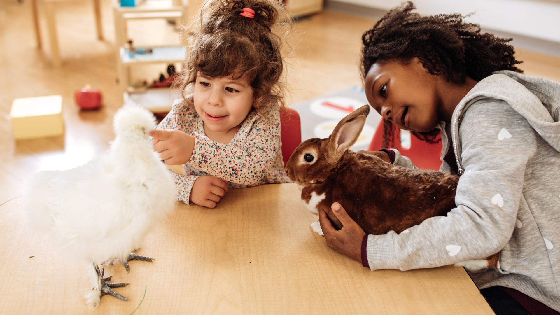 The Role of Pets in Child Development and Education