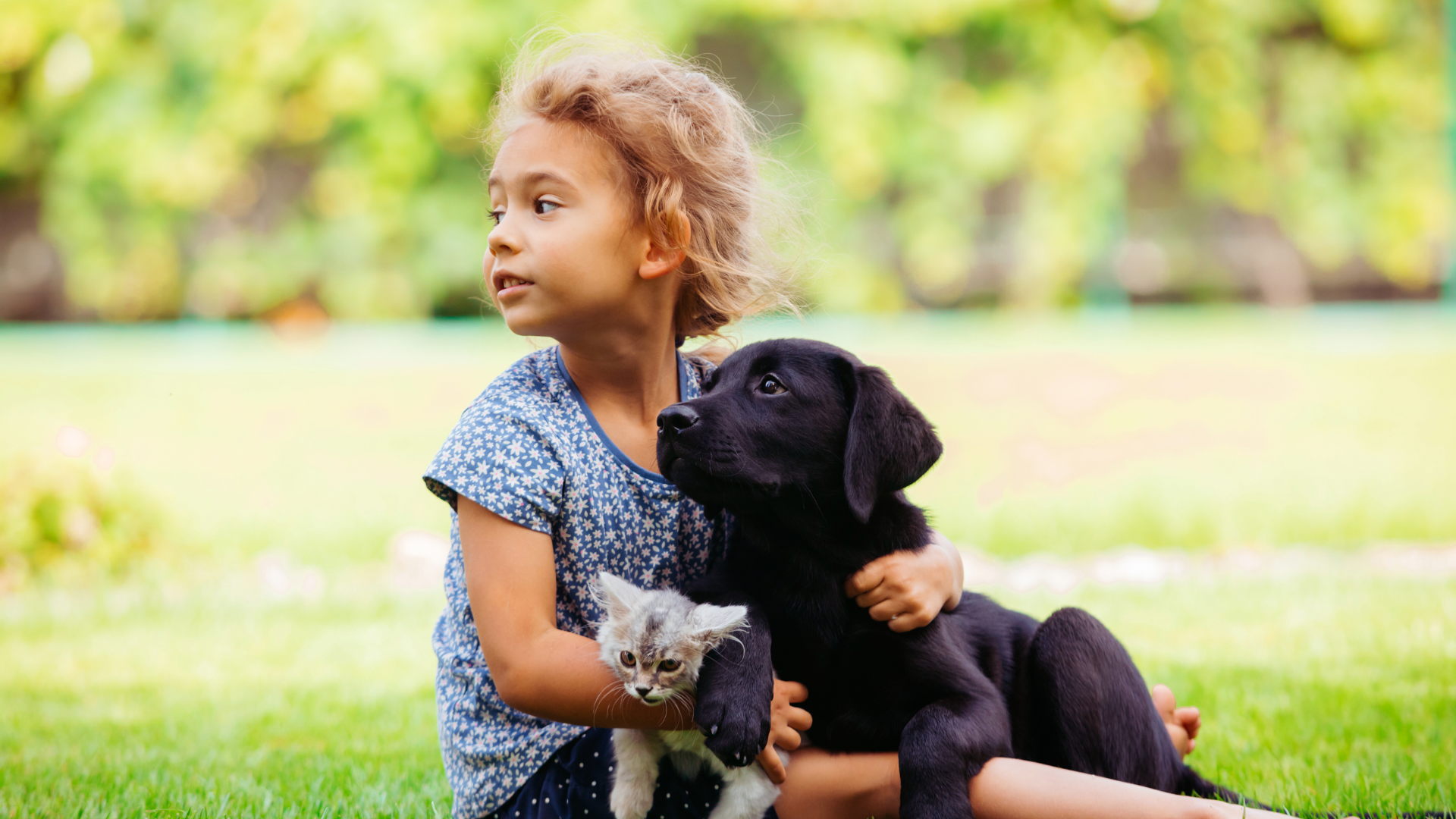 Best Pets for Small Children: Ideal Companions for Young Families